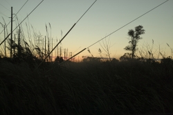 http://ischoi.com/files/gimgs/th-40_DP2M1723_1200.jpg